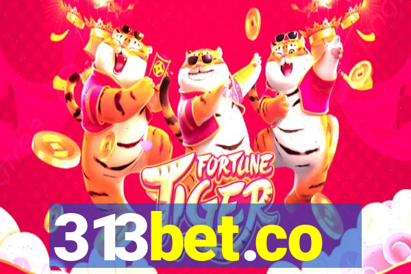 313bet.co
