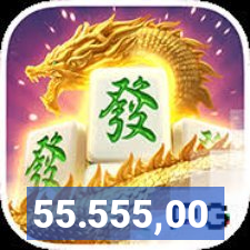 55.555,00