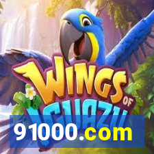 91000.com