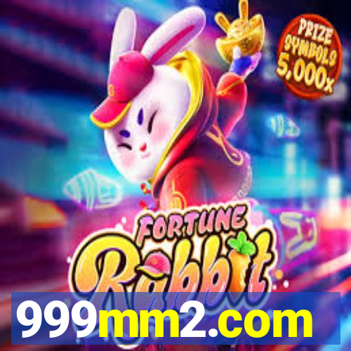 999mm2.com