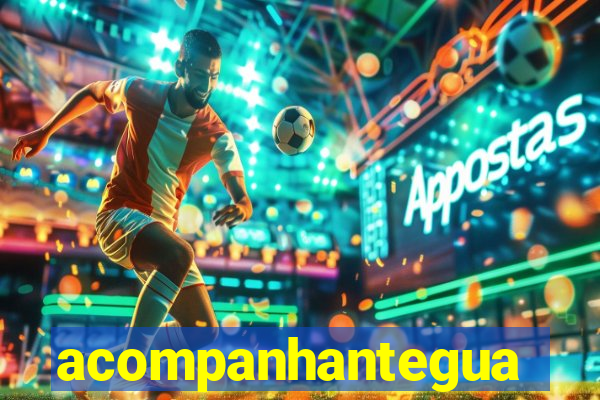 acompanhanteguanambi