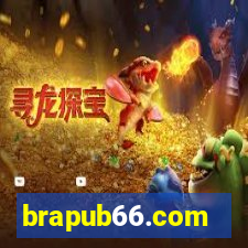 brapub66.com