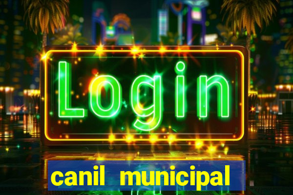 canil municipal porto alegre