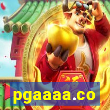 pgaaaa.co