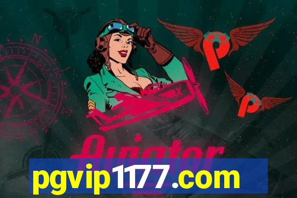 pgvip1177.com