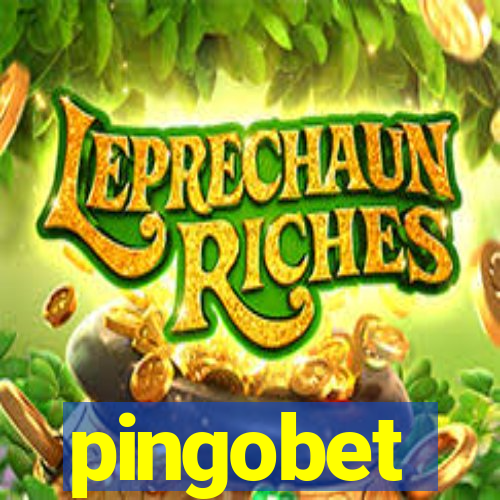 pingobet
