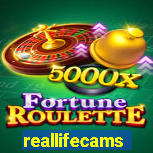 reallifecams