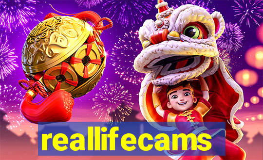 reallifecams