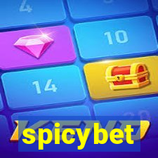 spicybet-4.com