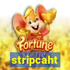 stripcaht