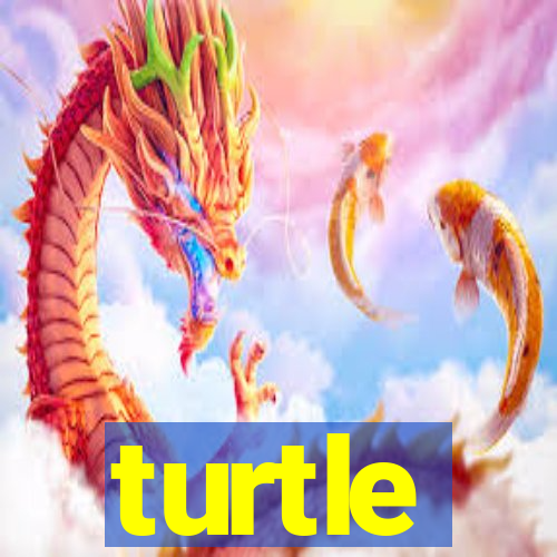 turtle-ty.com