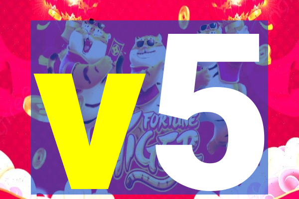 v5-lewa.com