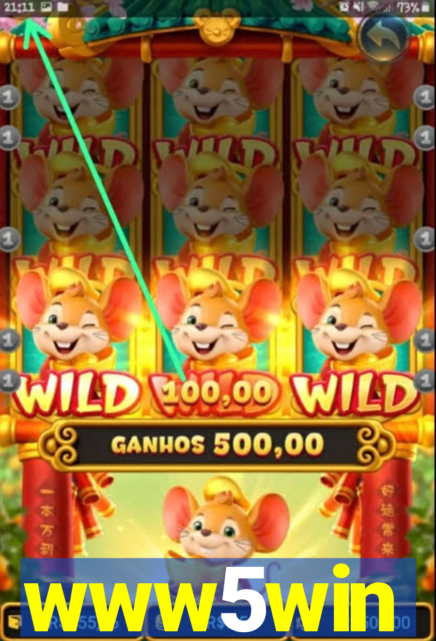 www5win