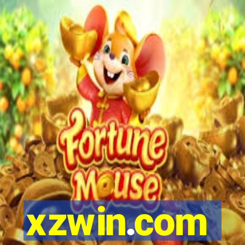 xzwin.com