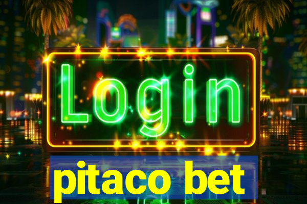 pitaco bet