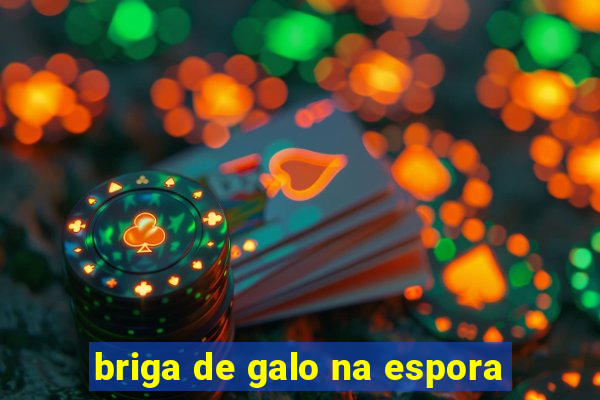 briga de galo na espora