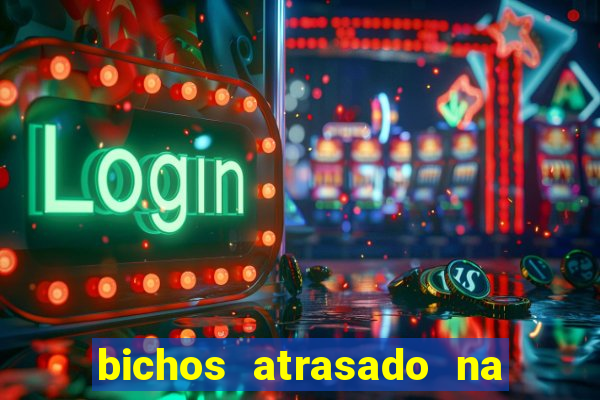 bichos atrasado na loteria dos sonhos