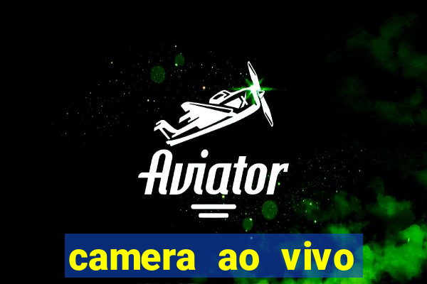 camera ao vivo beto carrero