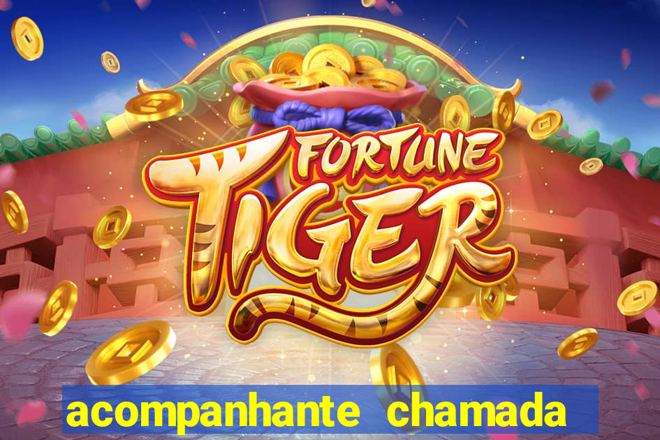 acompanhante chamada de video
