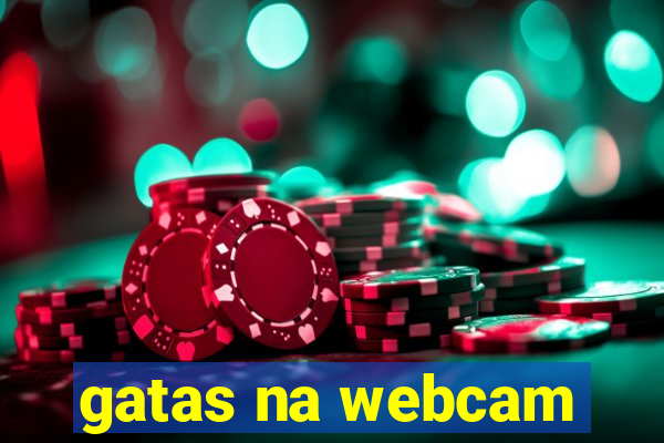 gatas na webcam