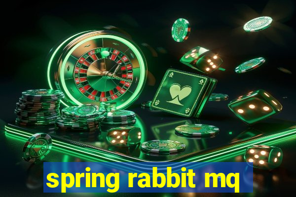 spring rabbit mq