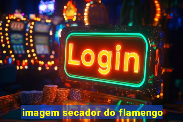 imagem secador do flamengo