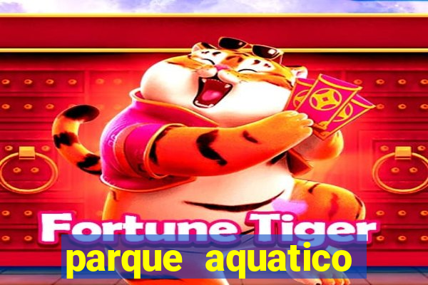 parque aquatico tina rolf salvador bahia