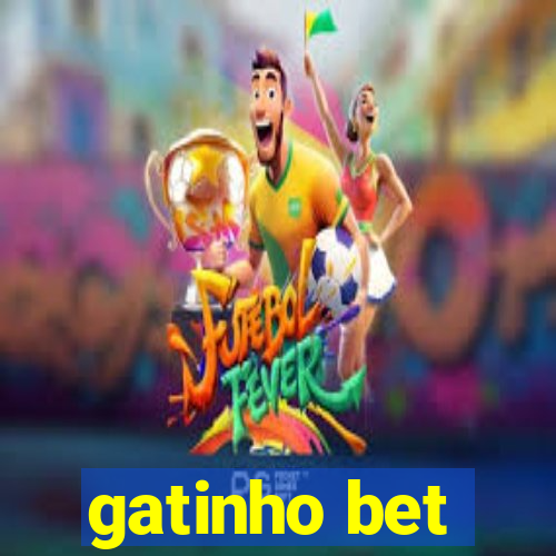 gatinho bet
