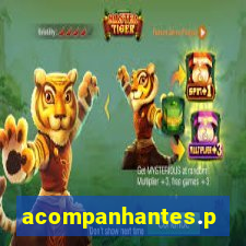 acompanhantes.pvh