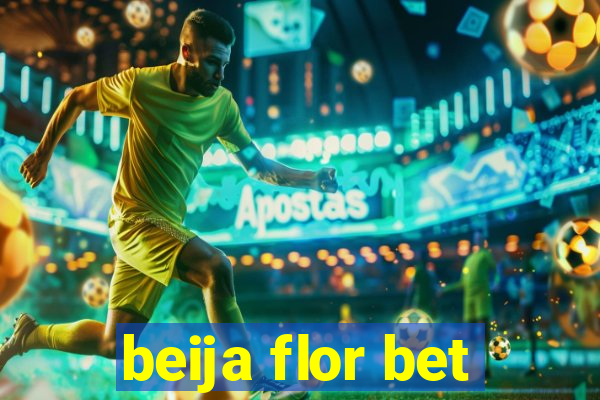 beija flor bet
