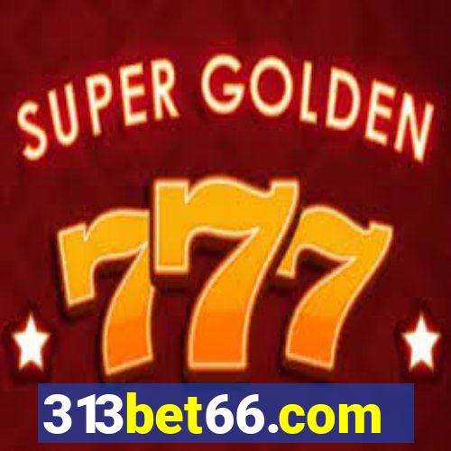 313bet66.com