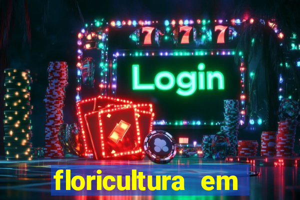 floricultura em franca sp